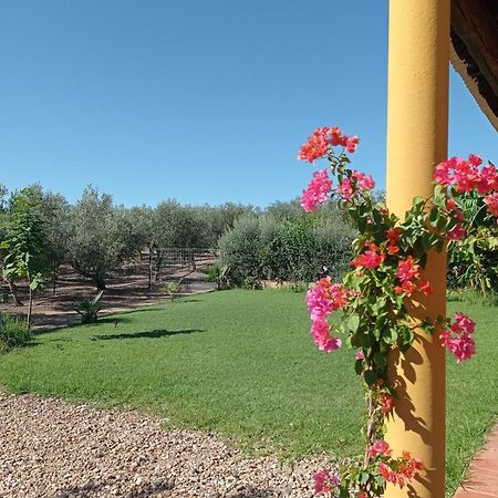 La Buganvilla, Descanso Entre Olivares Hornachuelos Exteriér fotografie