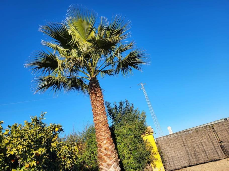 La Buganvilla, Descanso Entre Olivares Hornachuelos Exteriér fotografie