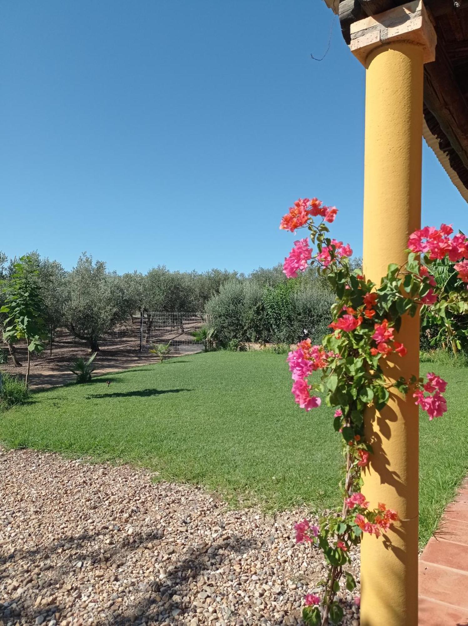 La Buganvilla, Descanso Entre Olivares Hornachuelos Exteriér fotografie